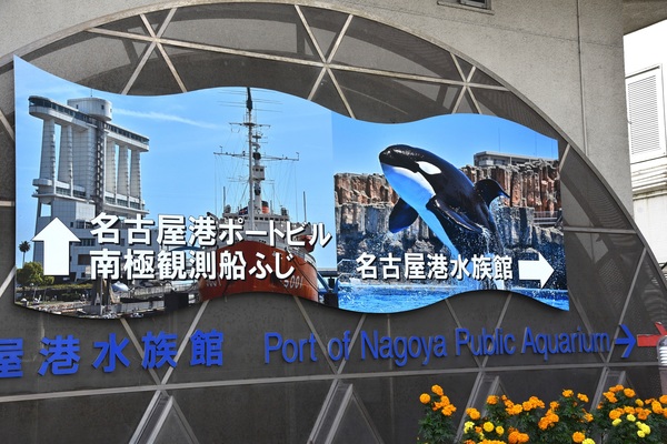 �n���S���`�����É��`�w