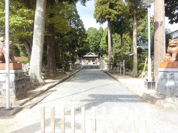 �����y��T�{ �V�{�_��