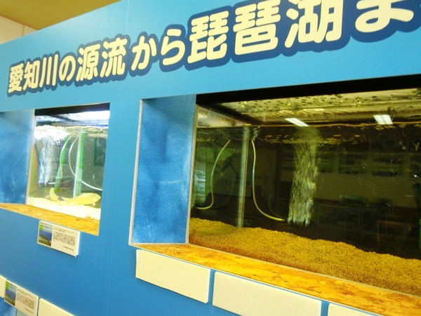 ���̉w ���i�����k���̗�