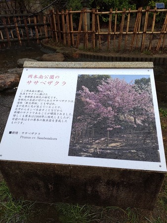 ���{��i�N��j����