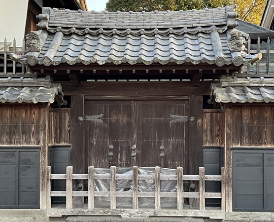 �����c�h�{�w��