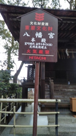 ���X�_��