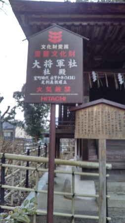 ���X�_��