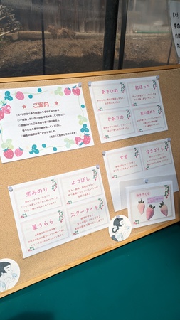 ���܂ނ�_��