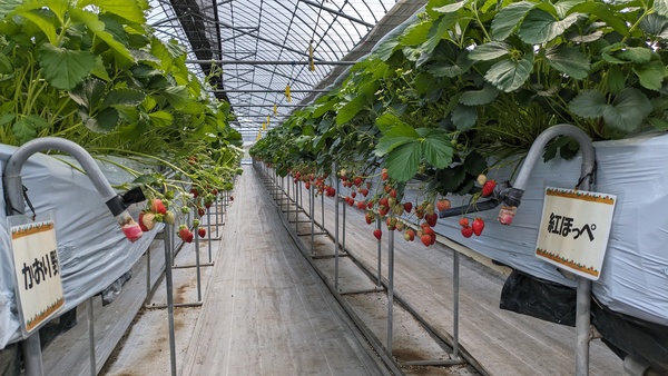 ���܂ނ�_��