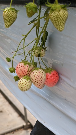 ���܂ނ�_��