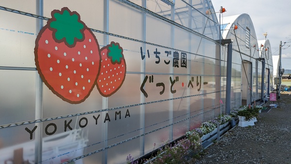 �������_�������ǁE�ׂ�[