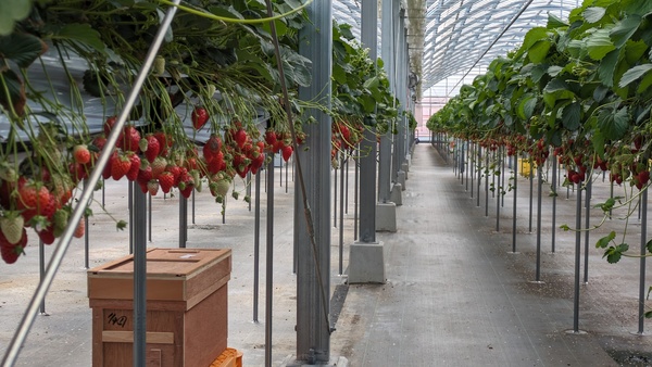 �������_�������ǁE�ׂ�[