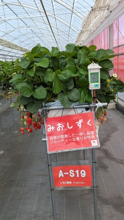 �������_�������ǁE�ׂ�[