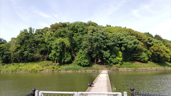 �j�T���U�C�Õ�