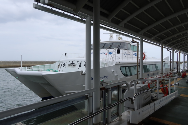 �ÃG�A�|�[�g���C���������