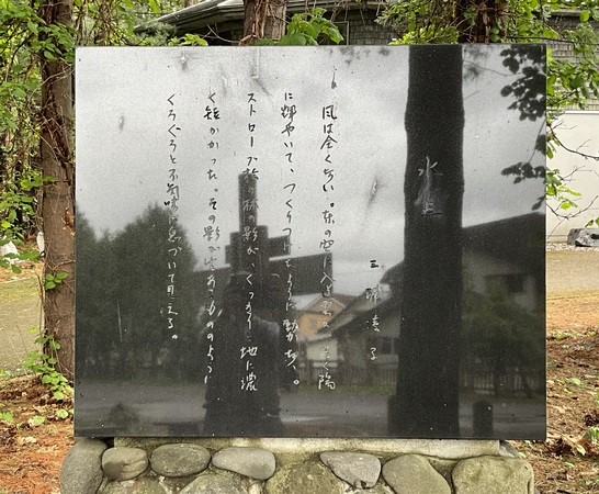 �O�Y���q�L�O���w��