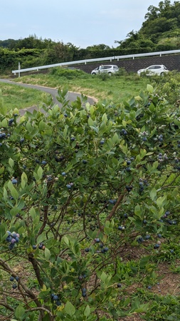 ���������˔_��