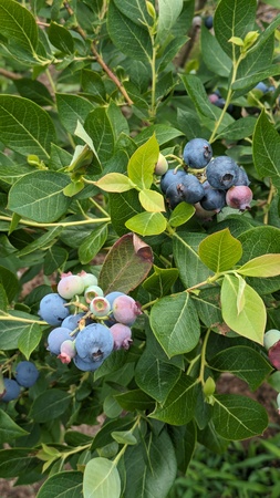 ���������˔_��