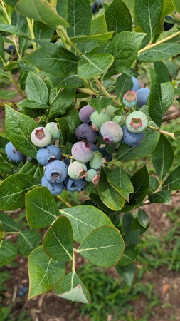 ���������˔_��