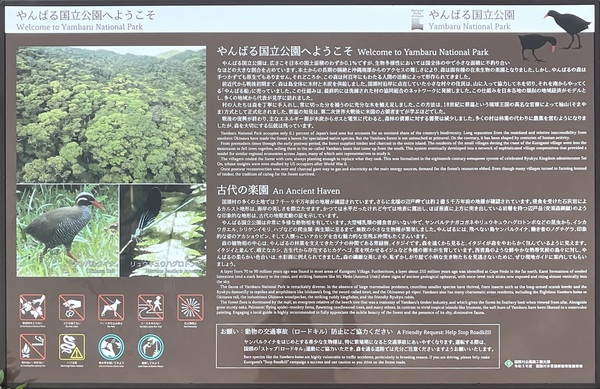 ���΂鍑������