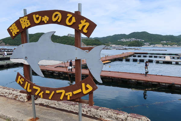 ����̂Ђ�h���t�B���t�@�[��