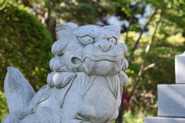 ���q�_��