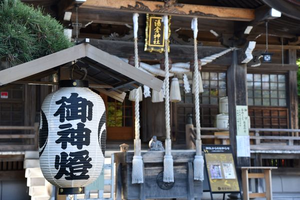 ���q�_��