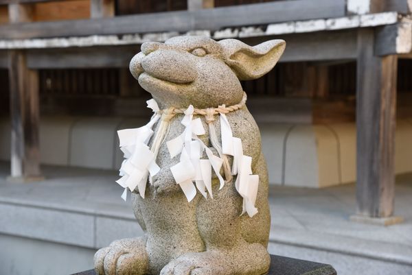 ���q�_��