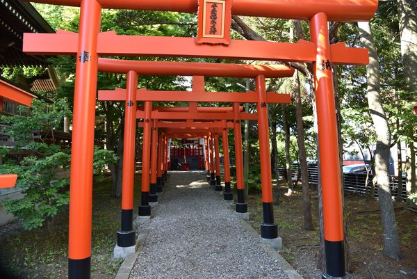 ���q�_��