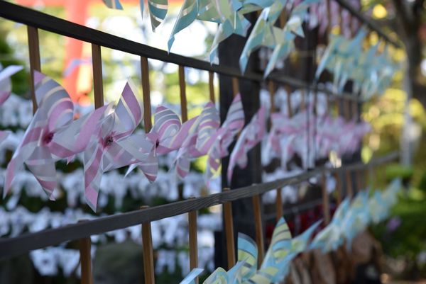 ���q�_��