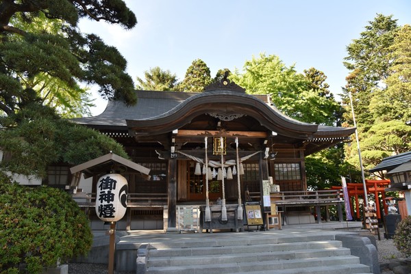 ���q�_��