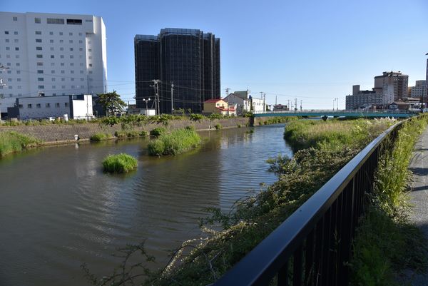 ���q�_��