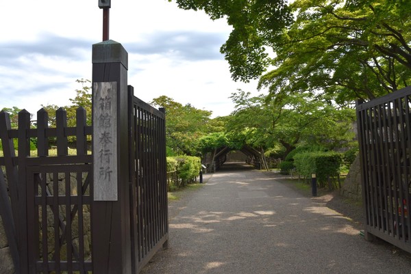 �ܗŊs����