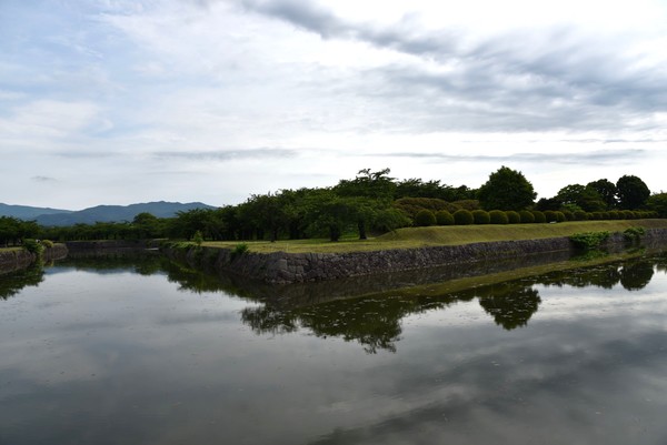 �ܗŊs����