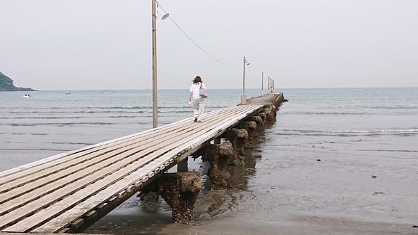 �����C������