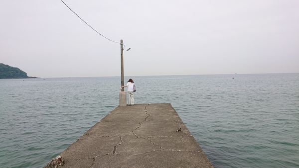 �����C������