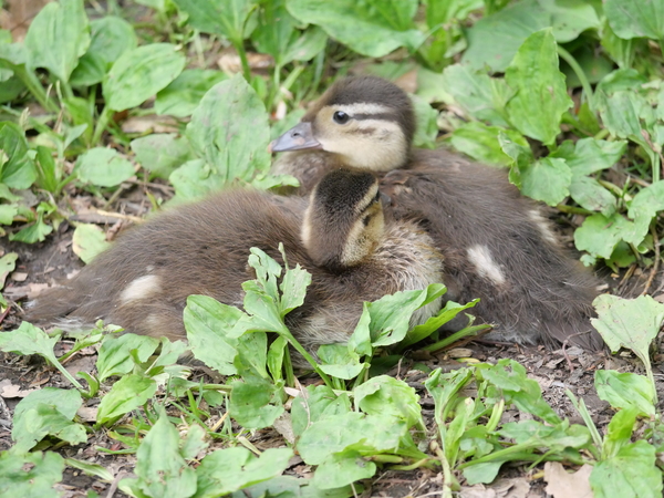 �~�R����