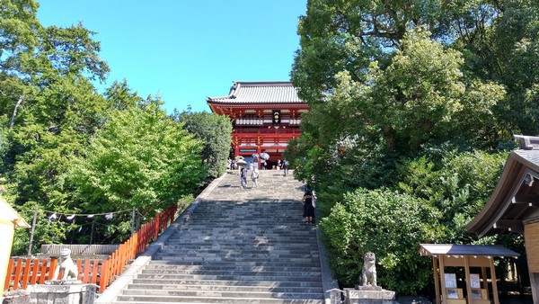 �]�m���d�S���q�w