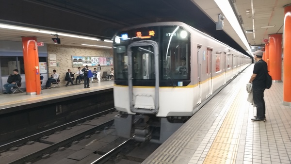 �ߓS���{���w