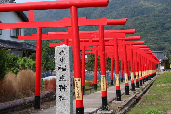 ���È�_��