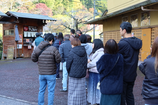 ܓc ꖡ̏h LN AbvpC@