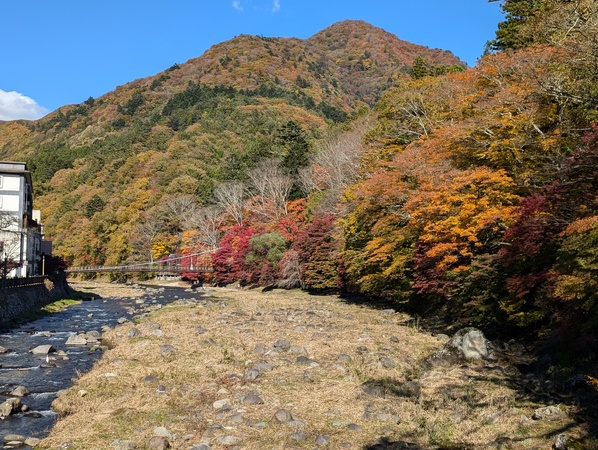 �������̌���