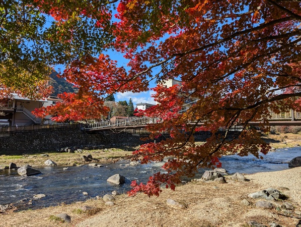 �������̌���