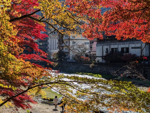 �������̌���