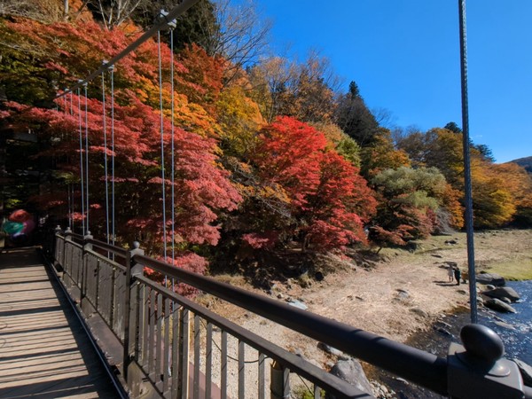 �������̌���