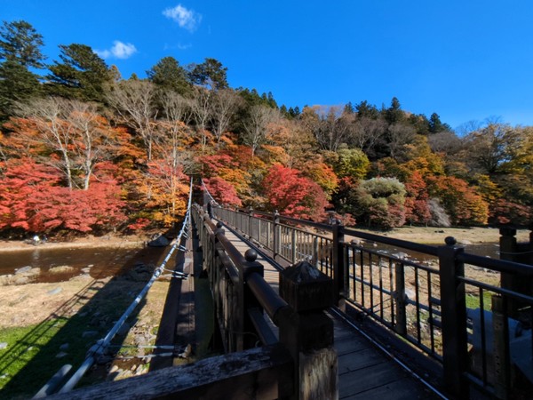 �������̌���