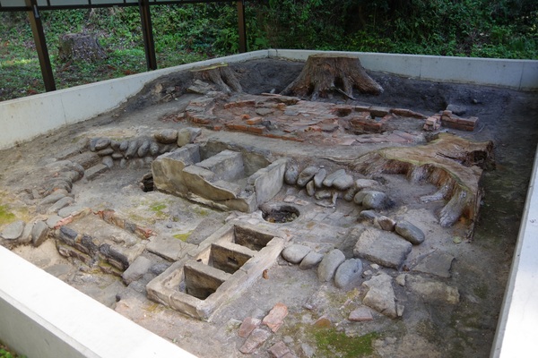 �R�̒��̊C�R�̒��@�ɂ����@�Ђ݂�n�~���[�W�A��