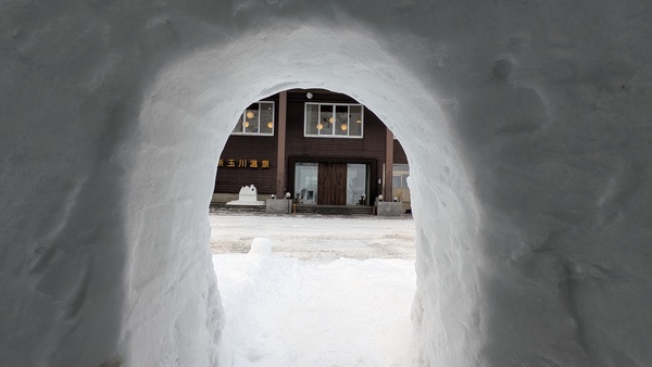 ���{�̎R�x���򃊃]�[�g�@�V�ʐ쉷��