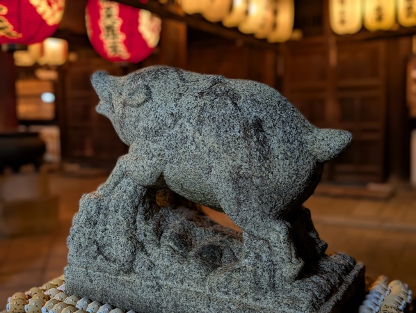 �T���������x�V��