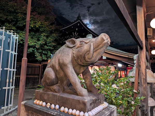 �T���������x�V��