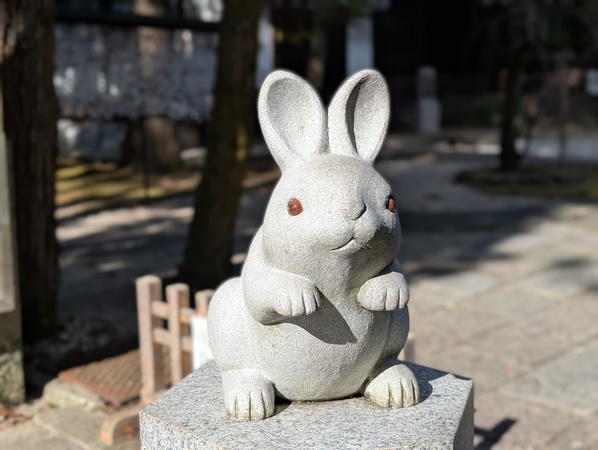 ���V������_��