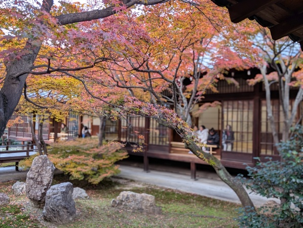 ���m���{�V