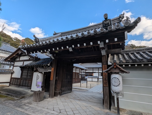 ��O�������