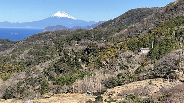 �Ε��̒I�c �W�]��